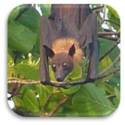 Tierkommunikation Kontakt