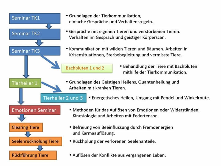 Übersicht der Seminare